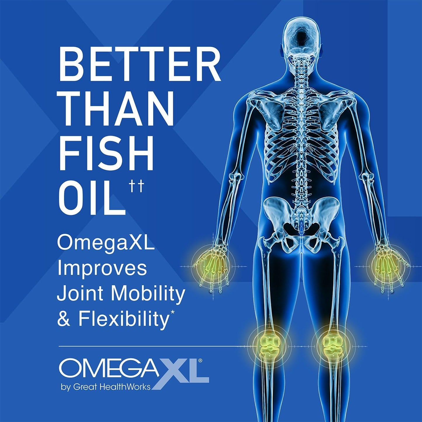 OmegaXL Joint Support Supplement, for Relief - Natural Muscle Support, Green Lipped Mussel Oil, Soft Gel Pills, Drug-Free, 60 Count