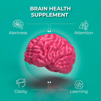 Ageless Brain Supplements for Memory and Focus - Nootropic Brain Health Supplement for Adults - with Bacopa Monieri, Alpha GPC, L-Tyrosine, Vitamin B6, Niacin & More, 60 Capsules