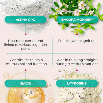 Ageless Brain Supplements for Memory and Focus - Nootropic Brain Health Supplement for Adults - with Bacopa Monieri, Alpha GPC, L - Tyrosine, Vitamin B6, Niacin & More, 60 Capsules - Wholesale Rabbits
