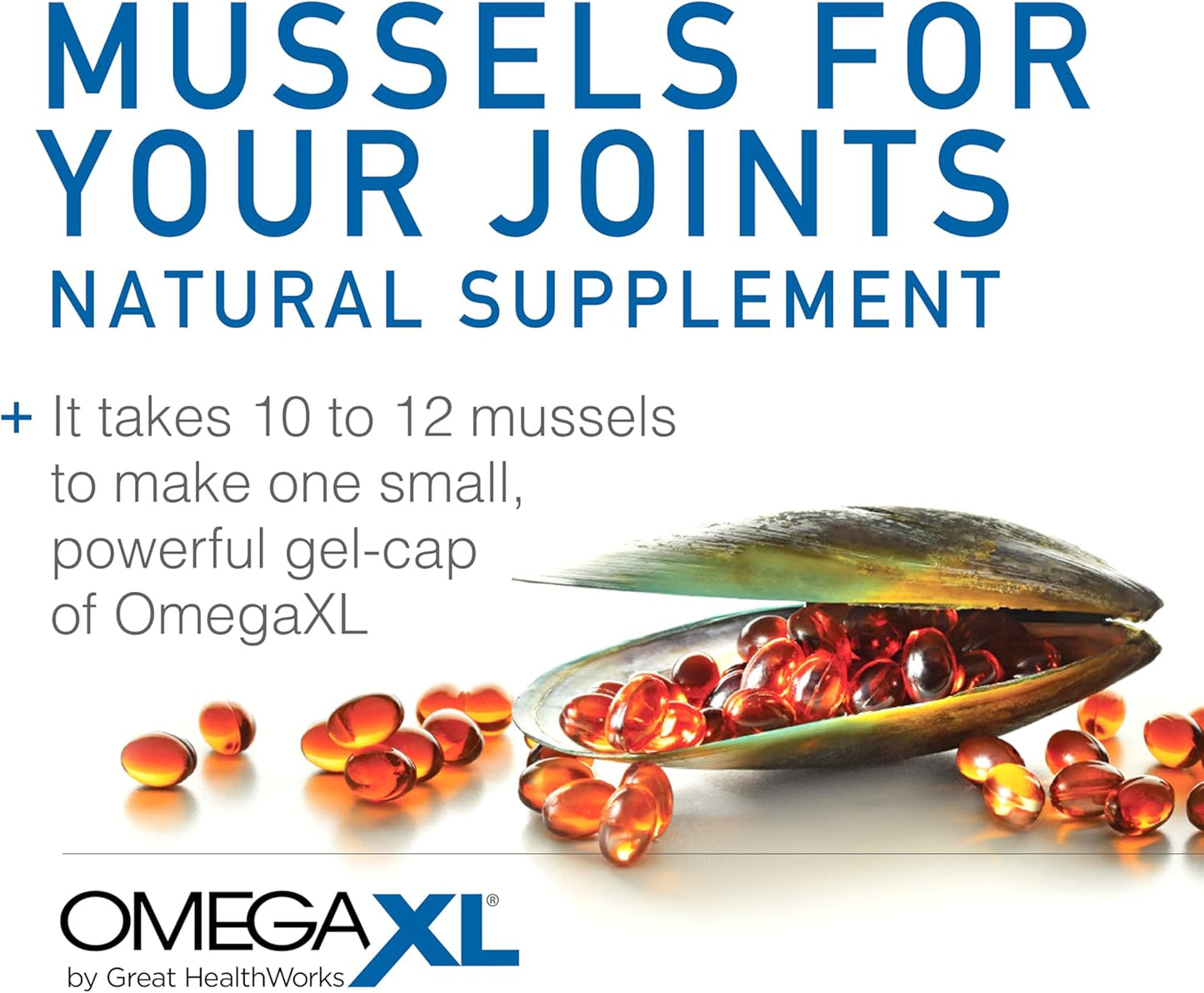 OmegaXL Joint Support Supplement, for Relief - Natural Muscle Support, Green Lipped Mussel Oil, Soft Gel Pills, Drug - Free, 60 Count - Wholesale Rabbits