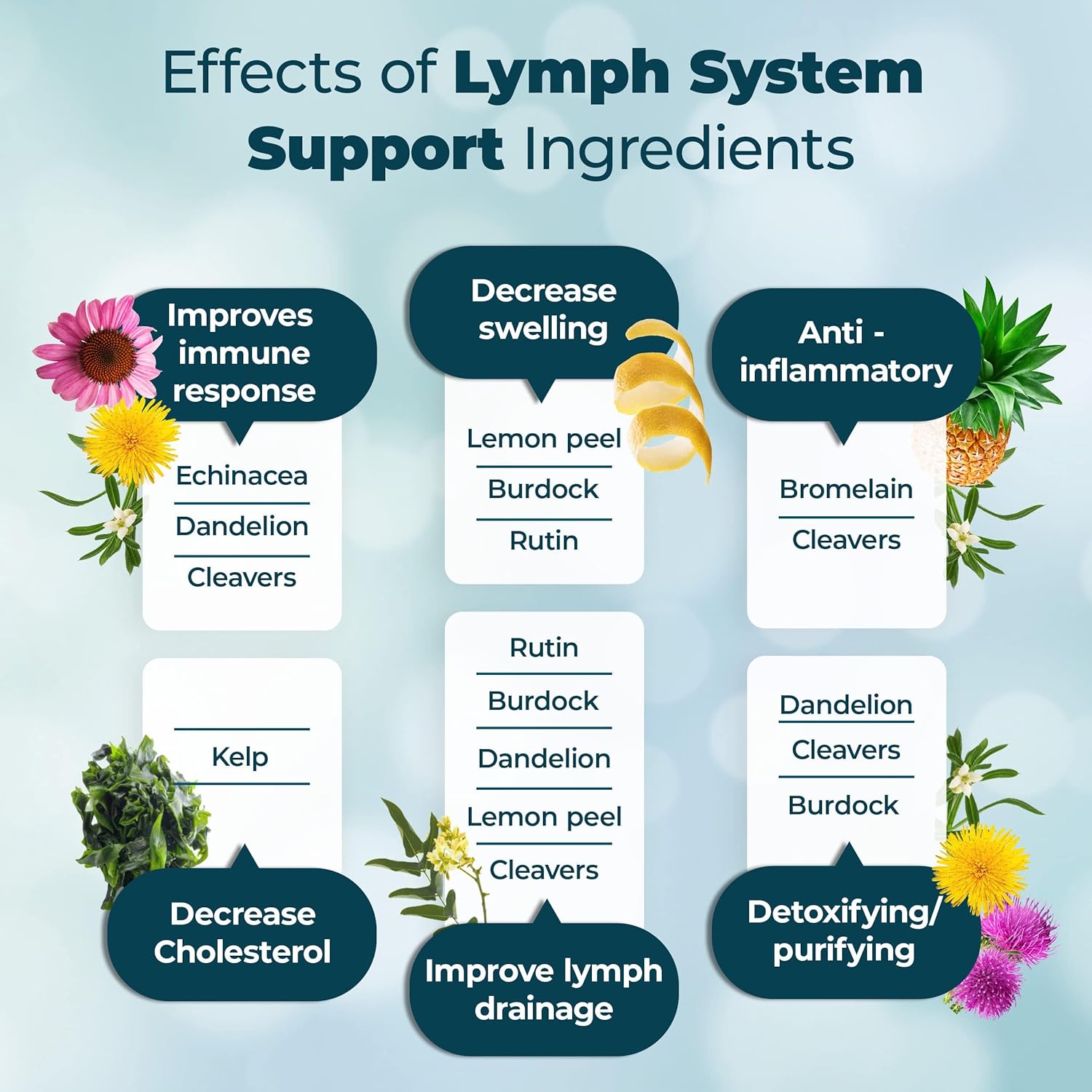 PUREHEALTH RESEARCH Lymph System Support Supplement - Lymphatic Drainage Supplement with Dandelion Extract, Cleavers, Burdock Powder - Reduce Swelling and Cleanse Lymph - 1 Bottle, Brown - Wholesale Rabbits
