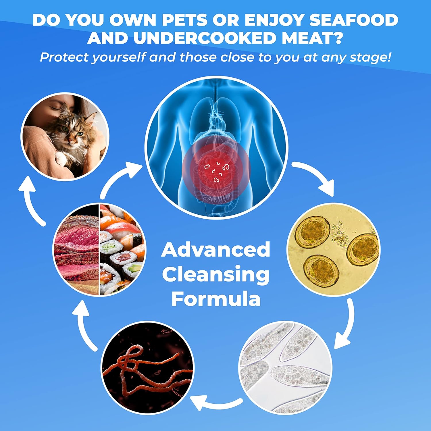 PUREHEALTH RESEARCH Parabroom - Gut Cleanse & Health Supplement - with Black Walnut, Sweet Wormwood Powder, Turmeric Extract, Olive Leaf, Garlic & Onion - Digestive Support for Women & Men 60 Capsules - Wholesale Rabbits