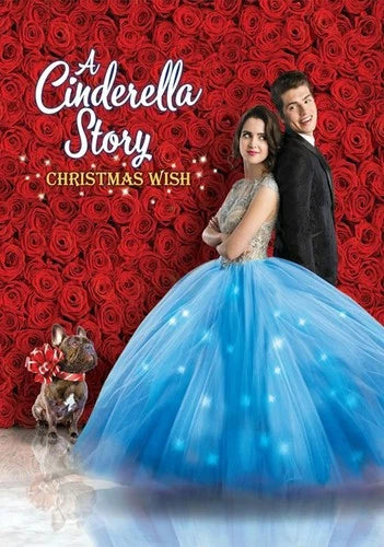 Cinderella Story, A Christmas Wish DVD