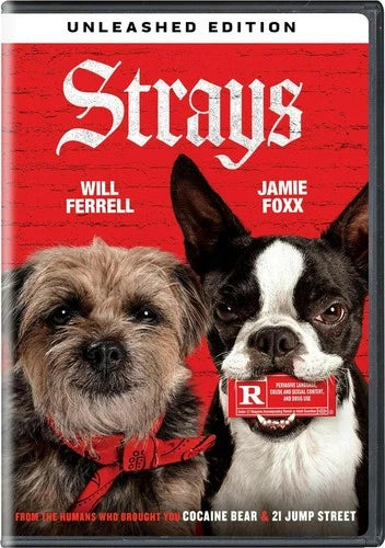 Strays DVD Will Ferrell