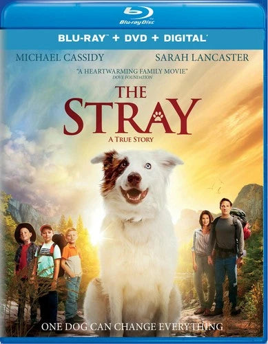 The Stray Blu-ray Sarah Lancaster