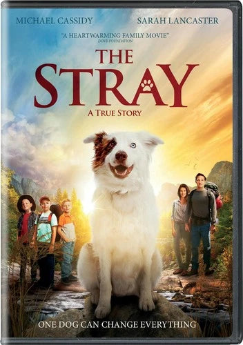 The Stray DVD Sarah Lancaster