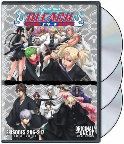 Bleach Uncut Set 14 DVD