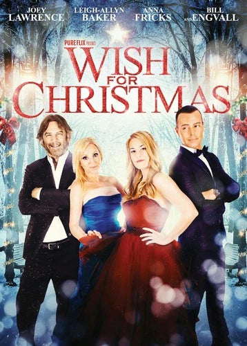 Wish for Christmas DVD Anna Fricks