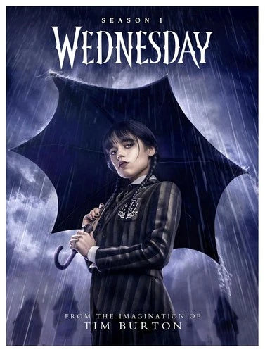 Wednesday The Complete First Season DVD