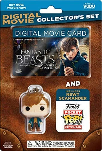 Fantastic Beasts and Where to Find Them (BlackFriday / DVD) DVD